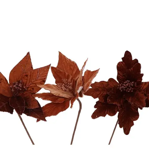 Seiden Poinsettia mix braun L24 cm