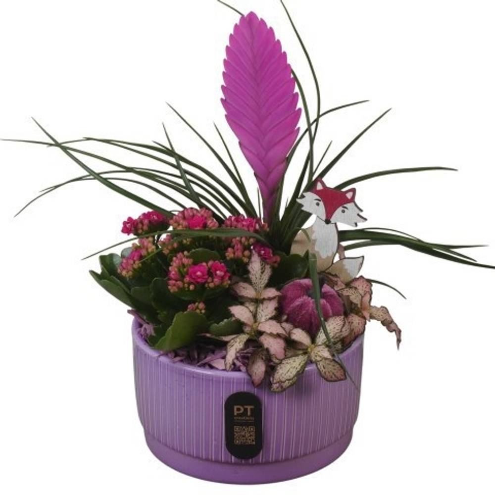 Tilland.Arr PTHI3203 Herbst T16 H030