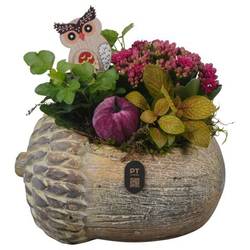 Kal.Arr PTHI3273 Herbst T22 H022