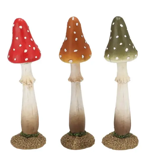 Pilz Wonderland mix 07x07x24cm