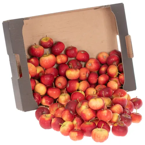 Äpfel rot Sternaepfel Kiste 4Kg