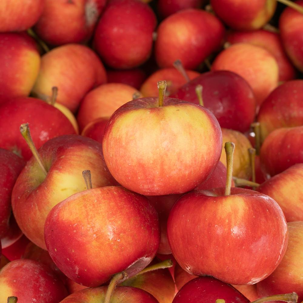 Äpfel rot Sternaepfel Kiste 4Kg