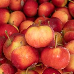 Äpfel rot Sternaepfel Kiste 4Kg
