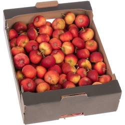 Äpfel rot Sternaepfel Kiste 4Kg