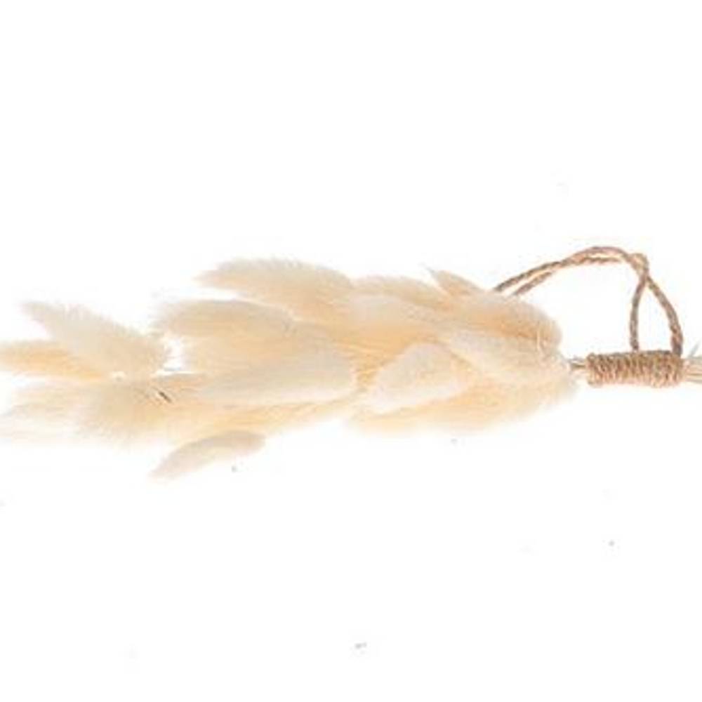 Hänger Lagurus gebleicht L12cm