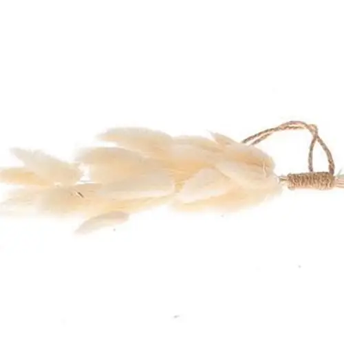 Hänger Lagurus gebleicht L12cm