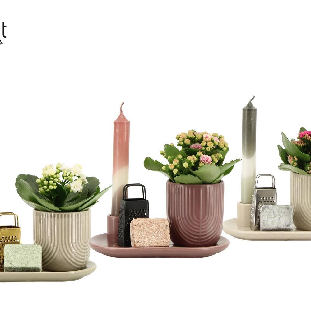 Kal.Arr mix 91069 Geschenken T18 H018