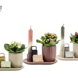 Kal.Arr mix 91069 Geschenken T18 H018