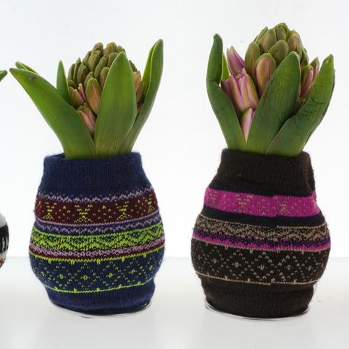 Hyac.Bol Wachs mix Scandi Socks mix Bl. H8