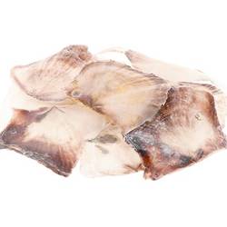 Muschelschale Placuna natur 1kg 