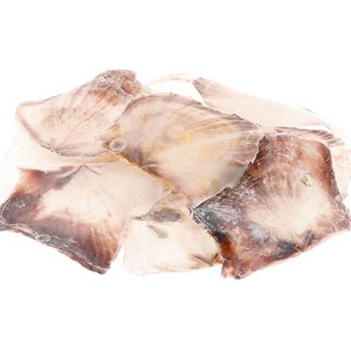 Muschelschale Placuna natur 1kg 