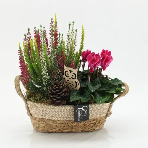Garten.Arr-2521 Herbst T24 H030