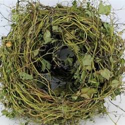 Kranz Hopfe grün Natur D45cm