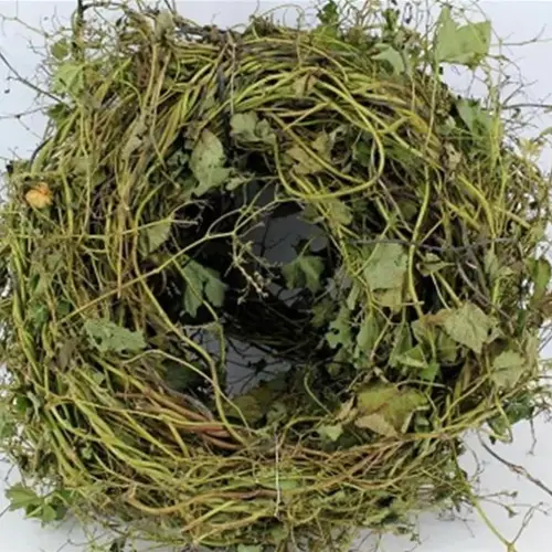 Kranz Hopfe grün Natur D45cm