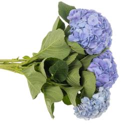 Hortensie lila My Heaven Bol 17cm 60cm