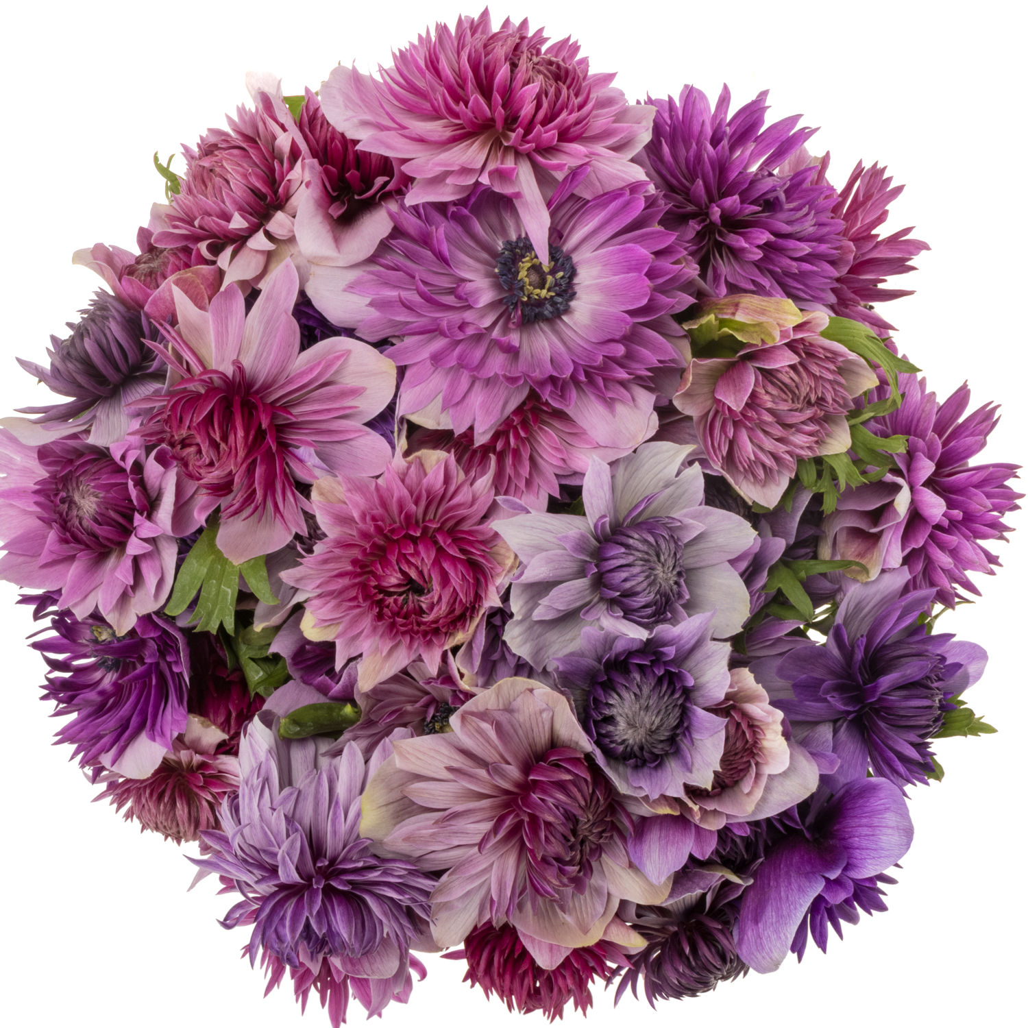 Anemone mix pastel Fullstar Israel  35cm x 50