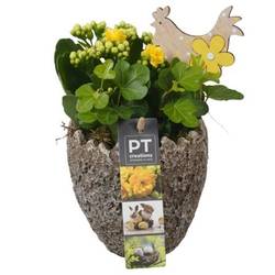 Kal.Arr PTPB6601 Ostern T11 H019