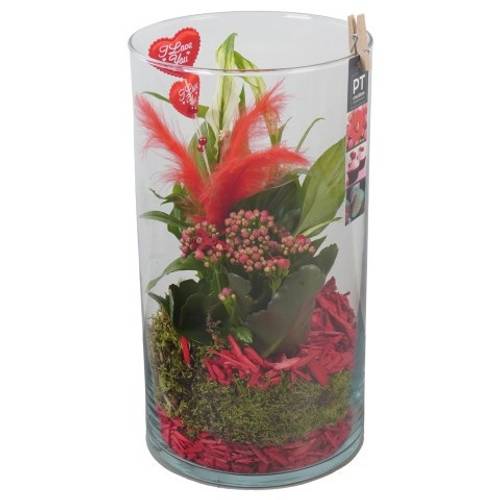 Spath.Arr PTVMG4928 T16 H033