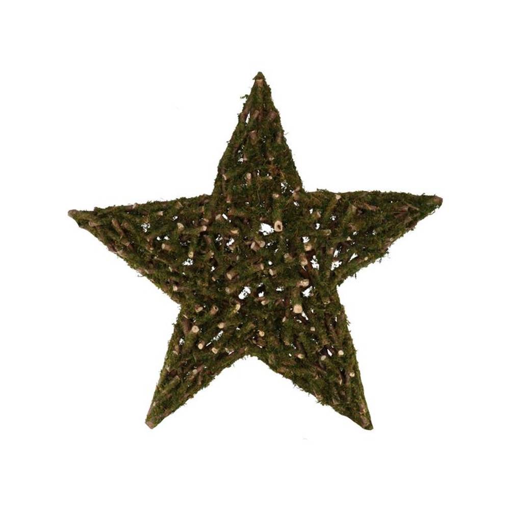 Stern Pappelmoos 50x50x09cm