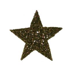 Stern Pappelmoos 50x50x09cm