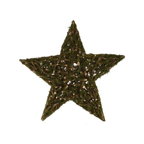 Stern Pappelmoos 50x50x09cm