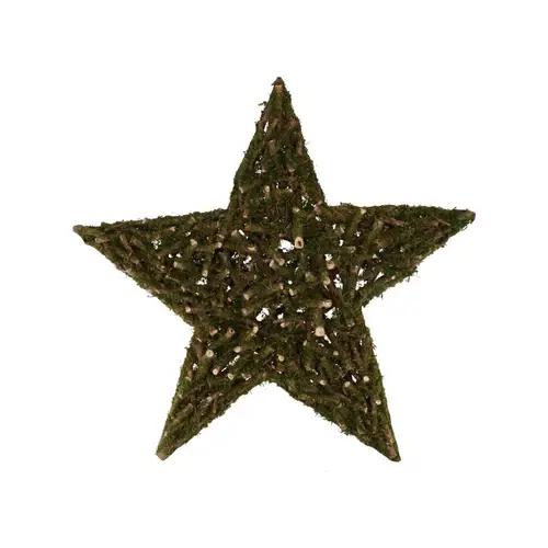 Stern Pappelmoos 50x50x09cm