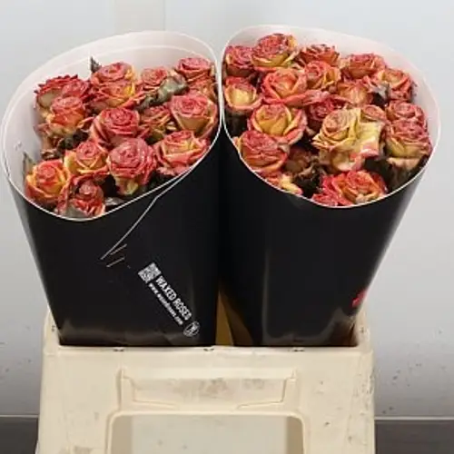 Rose verzweigt orange/rosa Wachs F Versillia 40cm