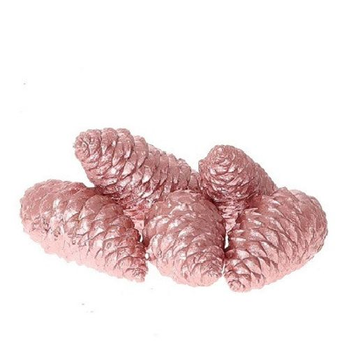 Zapfen Maritima Wachs rosa 12cm 5st