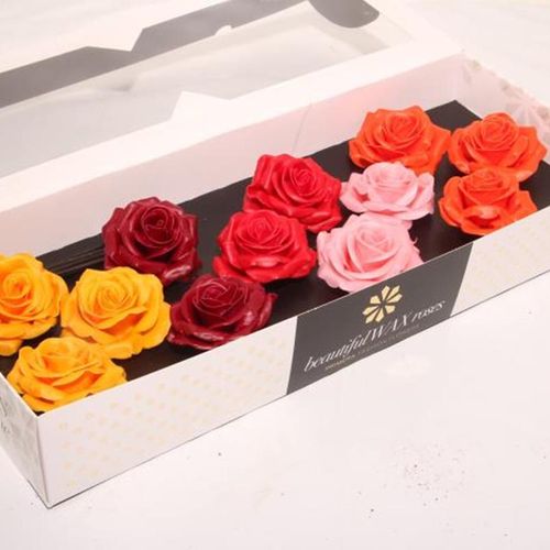 Seiden Wachs Rose mix Moods Festival D10cm (9040)