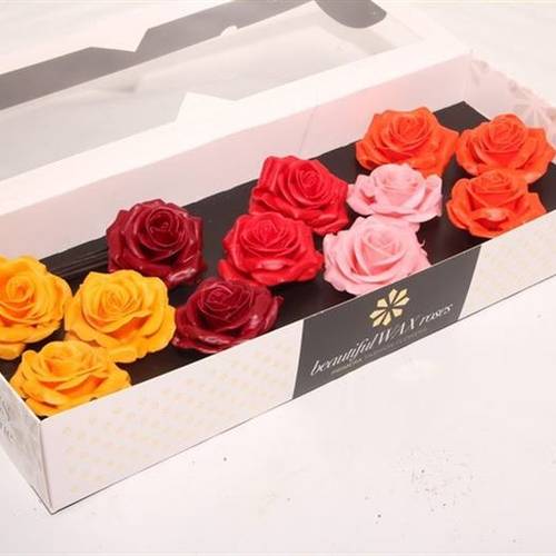 Seiden Wachs Rose mix Moods Festival D10cm (9040)