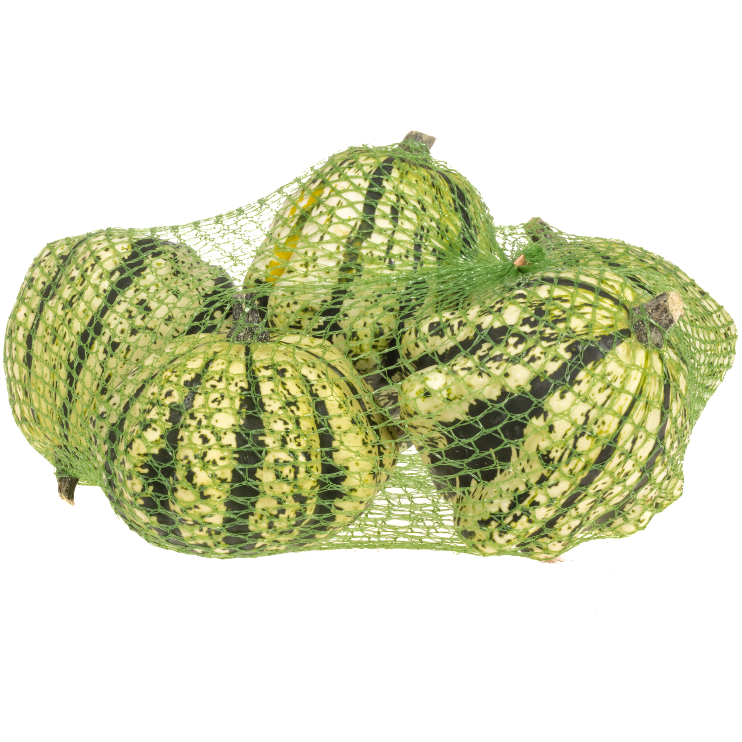 Zierkürbis weiss/grün New 12cm Im Netz