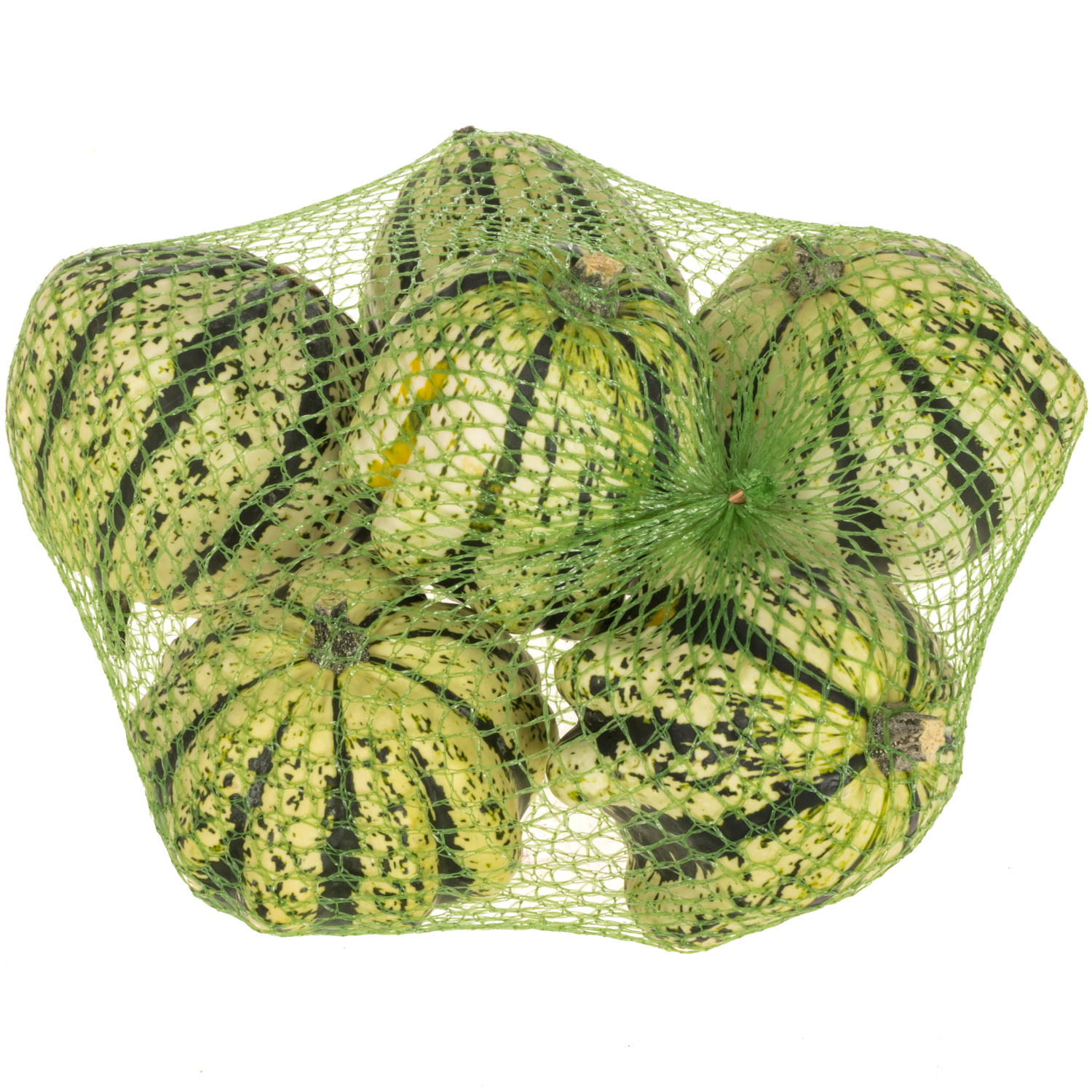 Zierkürbis weiss/grün New 12cm Im Netz