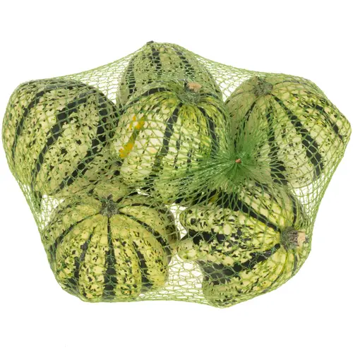 Zierkürbis weiss/grün New 12cm Im Netz