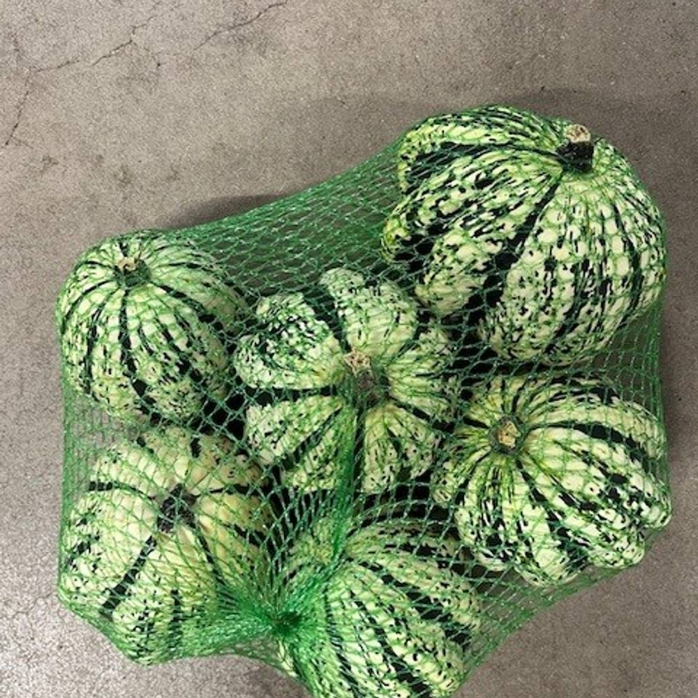 Zierkürbis weiss/grün New 12cm Im Netz