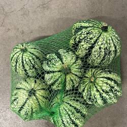 Zierkürbis weiss/grün New 12cm Im Netz