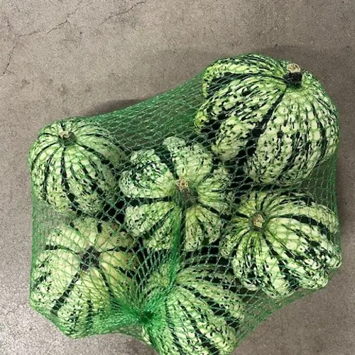 Zierkürbis weiss/grün New 12cm Im Netz
