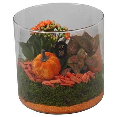 Kal.Arr PTHG8207 Herbst T15 H015