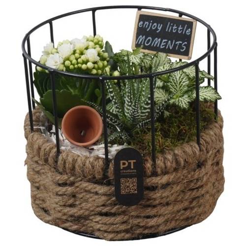 Kal.Arr PTIB5274 T17 H016