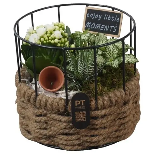 Kal.Arr PTIB5274 T17 H016