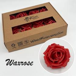 Seiden Wachs Rose karamell