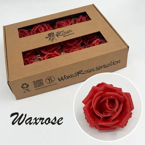Seiden Wachs Rose karamell