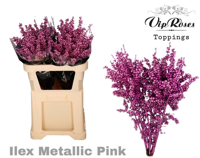 Ilex rosa metallic gefarbt 70cm