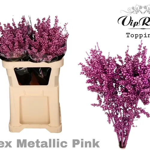 Ilex rosa metallic gefarbt 70cm