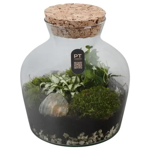 Flor.Arr PTTER8106 T20 H024