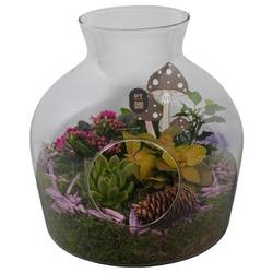 Flor.Arr PTHG8236 Herbst T24 H027