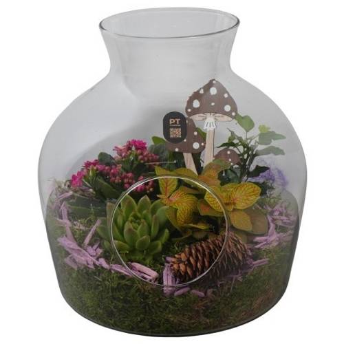Flor.Arr PTHG8236 Herbst T24 H027