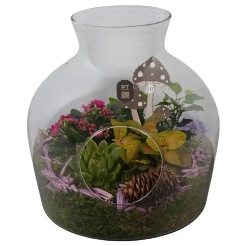 Flor.Arr PTHG8236 Herbst T24 H027
