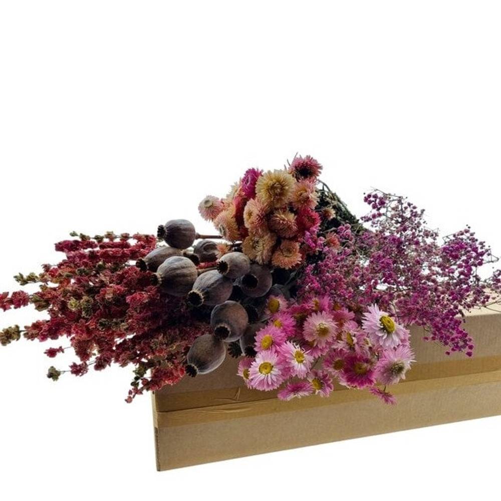 Trocken DIY box assorti rosa L45-70cm