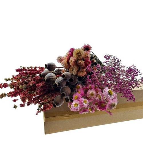Trocken DIY box assorti rosa L45-70cm