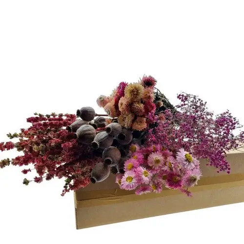 Trocken DIY box assorti rosa L45-70cm